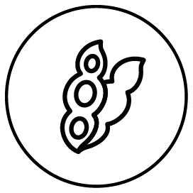 hochwertiges Sojaprotein